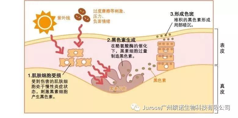 尊龙凯时官网(й)ҳ¼